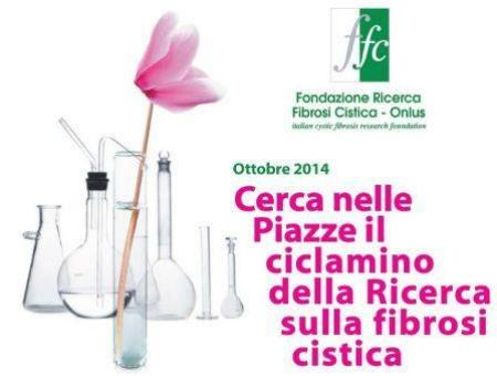 83b04afdc658cfc8d5fc2b9ec6131fac