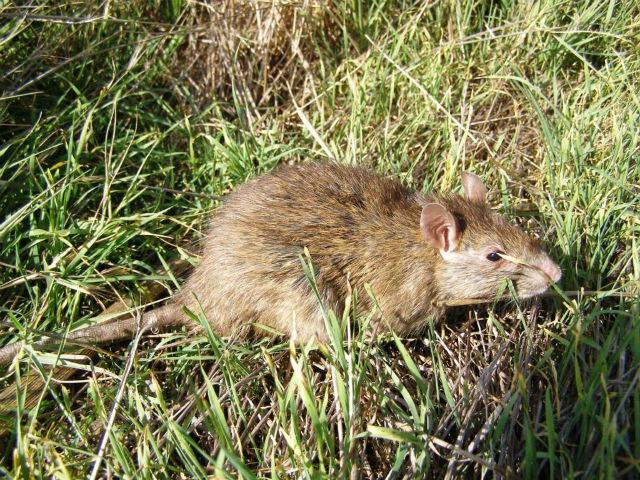 8462850dbb62c4bd159ee1ad55df6950