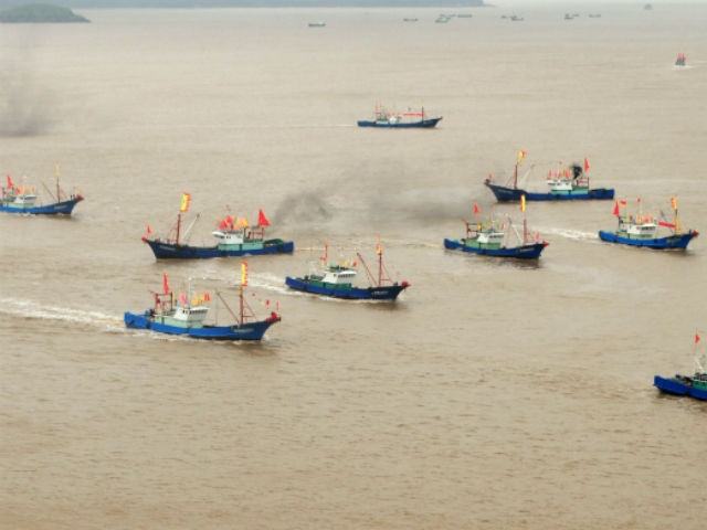 8510c1d80ad0564ec5927fdaa5505e47