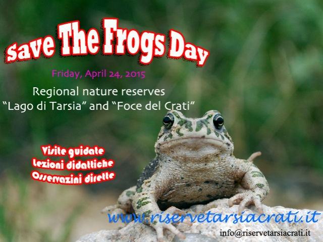 8678e85417b04e482f8de0dbc65a9408