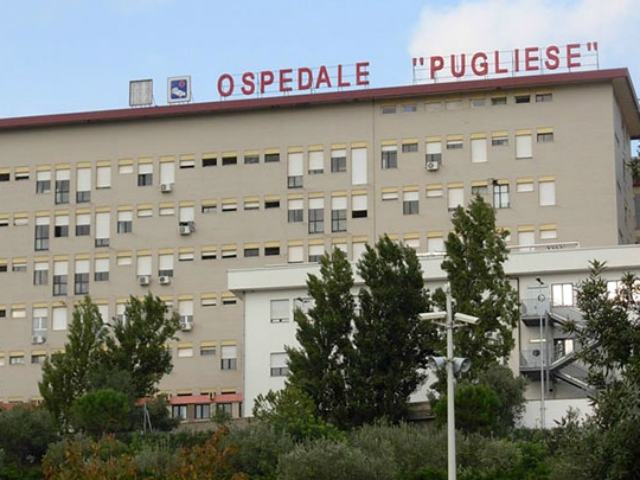 87183b9e630dac51ac77cdf3613fa604