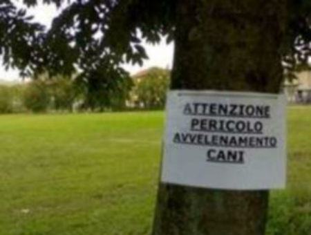 873aac3903fdcda429cb48e45b8ec7a7