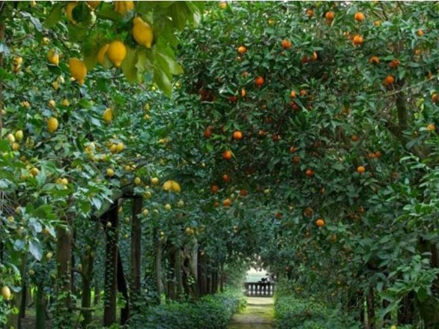 873c79d996a948884f526128af207b28