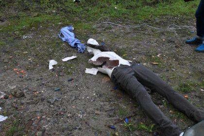 87d1b416 8673 44c7 8af8 9bd430e59842