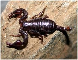 880d0303feab0af5ae99b4b01a17e77b