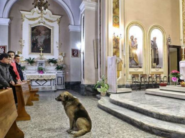 8820486858b6ff2182e088463eb050dc