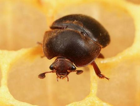 8854359ae4a05c09bdb8318f40cff369