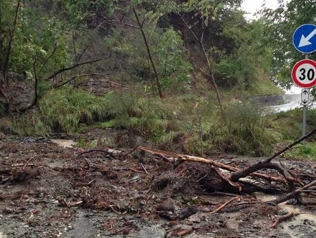 8877e77eeac926061f761c359b6bbc6e