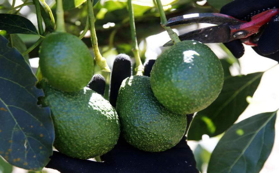 8890b91e39707d4feb26da2aa00cae15