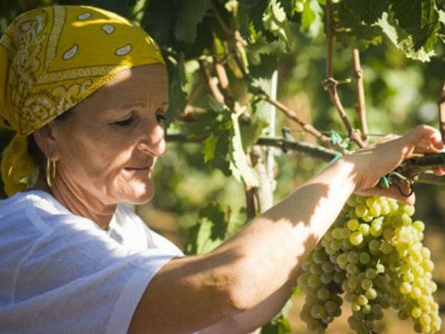 8a2e8bde8e759b940960944ba8a80762