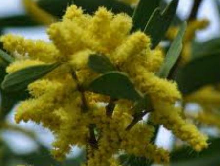 8a640ec5e7947e2628e4c21e70ebc6fd