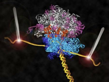 8acb9b75eaf181094bde897df0419005