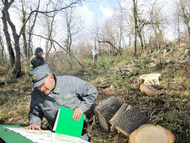 8b4f5ce9008bef81c0dd9b64b6b1dc5b