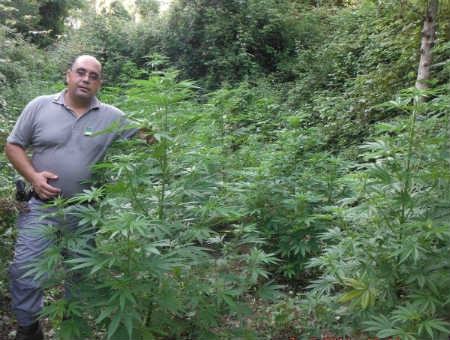 8bb38cdd2a0322ace42248989dbcec08