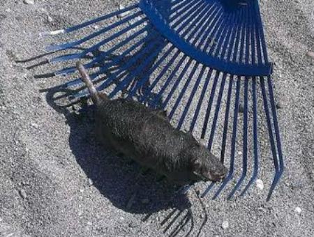 8be79d0532603f1135506781fdc2599c