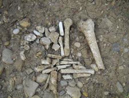 8c21564975a6c25a01ea2834e95ab23a