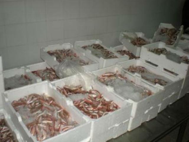 8cbd4f94d3c900dd9bc2d39949a9e6a6