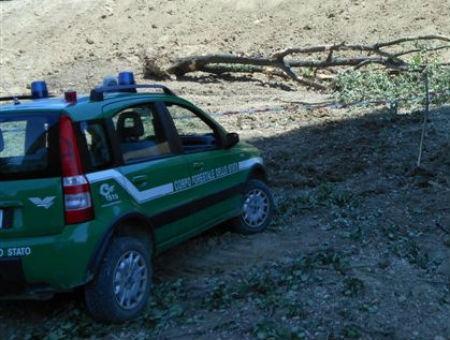 8eb26c25fba6dafca6109525352be910