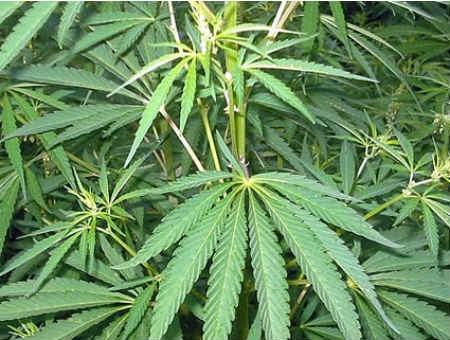 8f0ca2f04efede01fc53c5980a12cfcd