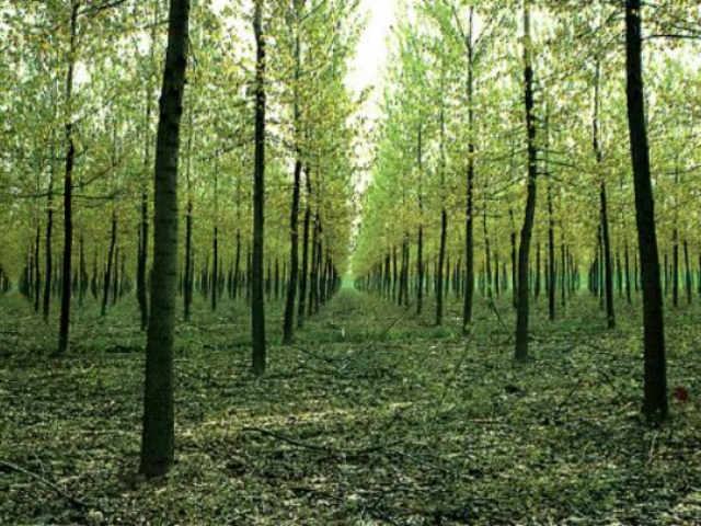 8f125d468c0984de617aeab4d9f403fa