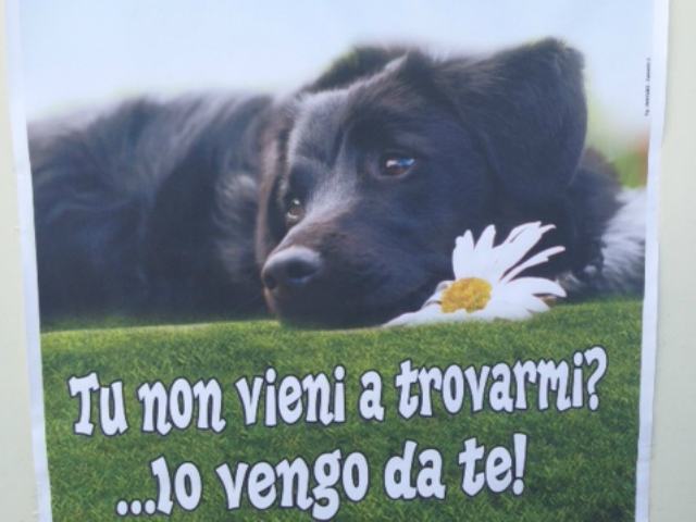 8f634f346018d3155abac6f5d8102784