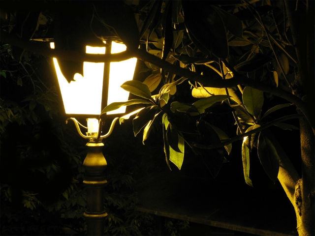 8f9b49a7993ed80d42c489170ed36ea2