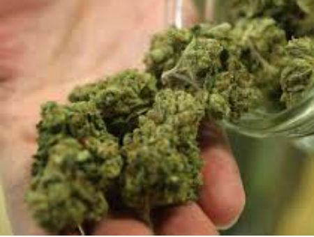 902dea32452c7f713b09c64a2e1e90be