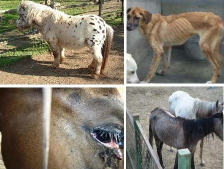 908b8a016ed07b244a3685b54eee5ca2