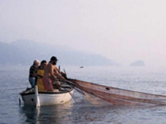 90a61310389e3b8591f23e3b71ff63d8