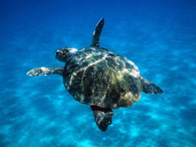 9209816376aafdb98c52c0bc93b0b259