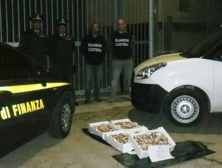 926301a75675ff8640b62bafcd3f999e