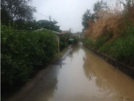 93a9dc62fb21c118a4914abb8725b89d