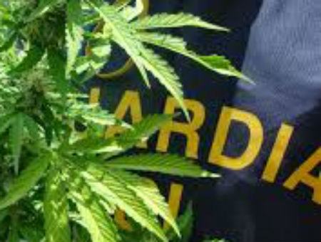 93d31aff971f040e6bffedd52a85acdb