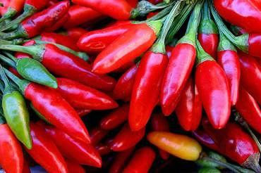 Sanremo: durante il Festival in sei ristoranti i piatti profumano di Calabria con il nostro peperoncino 51 93d4f244ed5c9a9241c1ad0819b468a2