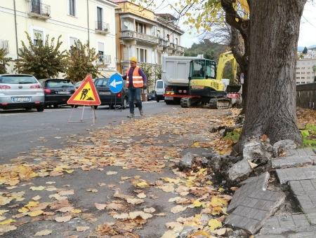 940fc4dc8081718c6b498d7f18135736