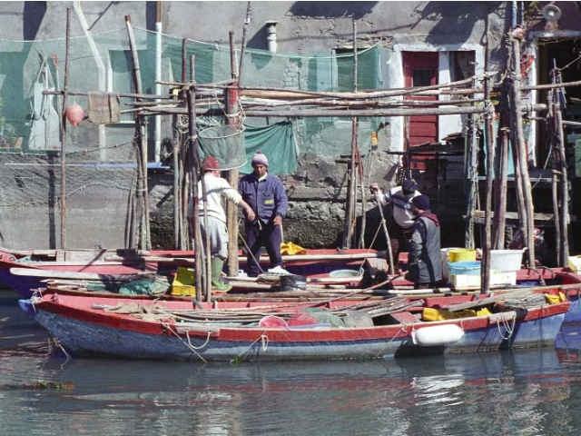 94c550212539b428e915b05ddcc2551c