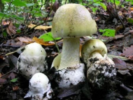 959f8973098c3c189d47b240249a2d84