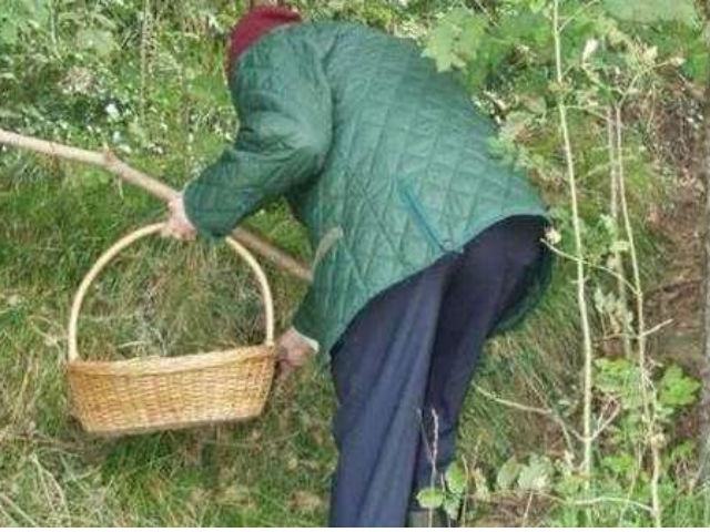 95a5cb6d871092c321429f740ae10f50