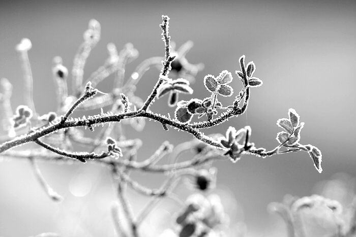 95b4fa6accb917a2bf56cb4829cf56aa