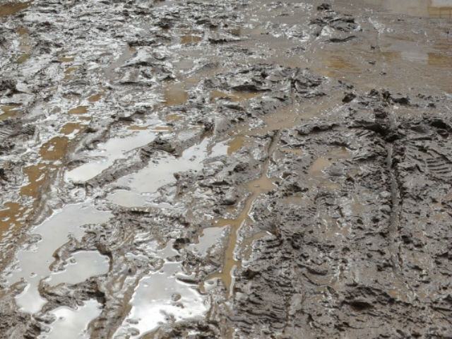 95b8e521c4ee537d00178d79cf6c391a