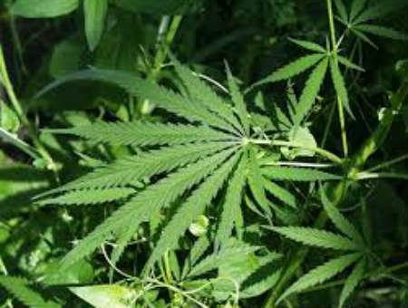 960abc45fa4f0d7d5104887b741c12d4