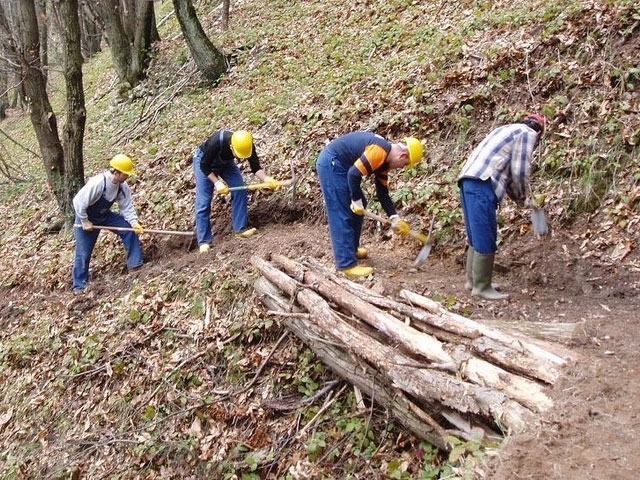 9645d7791f31d17c576af52a6872f492