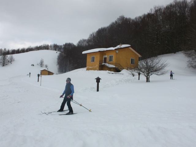 96e76d76c46c0a0d2881f9acec16d581