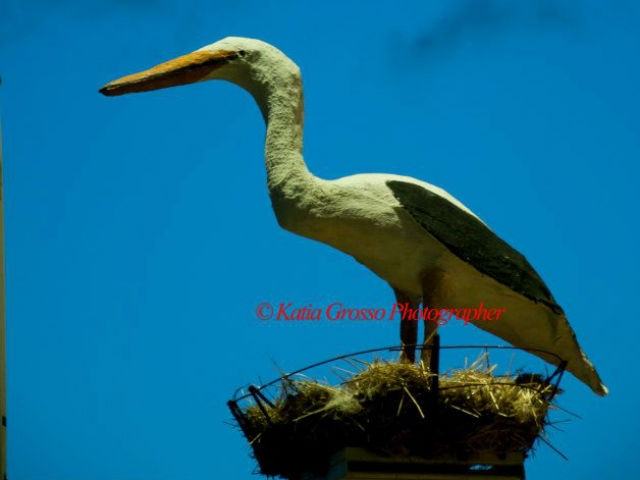 976ba3360c3eaa3ecef1c8ef1668ecdc