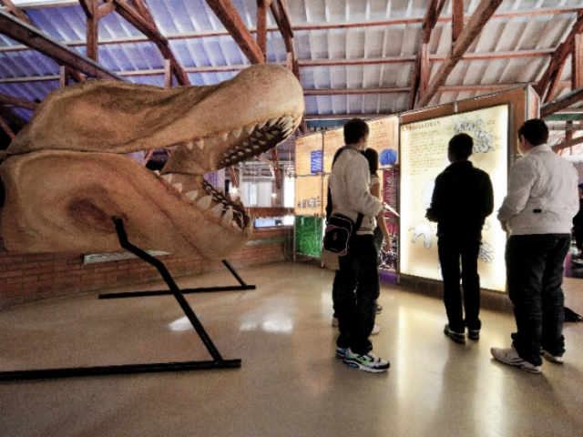 97e1c5b87e7ed9a795cde7807aea8724