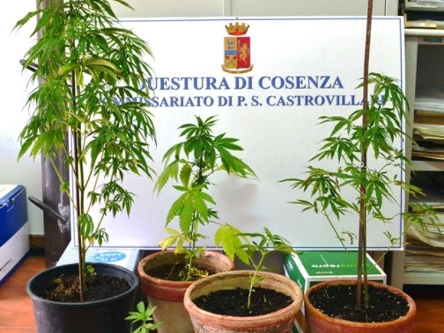 9869f0c0c35b13a7703904cfa77cb041