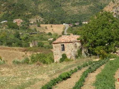 99ddeb4f2b329119f703b8796e094fda