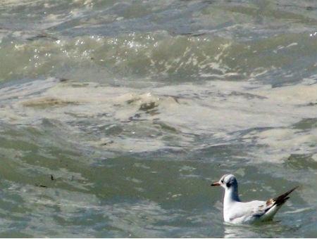 9a750c2e1b24281cde38c9c967fd8dd2