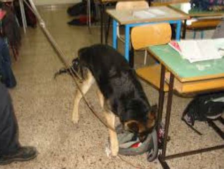 9ba2f5aaabf555ac796882f1853d359c