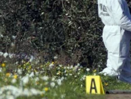 9ba340aa7f1de69ad6ad7f6ace4d13f9